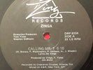 ZINGA   CALLING MR. T 12