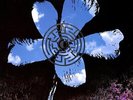 Runrig Flower Of The West Limited Edition Poster UK 12