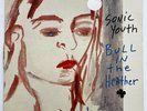 SONIC YOUTH Bull In The Heather 10” ltd ed single 1994 numbered, silver
