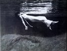 Undercurrent - Bill Evans & Jim Hall ( Ltd Addition Numbered )