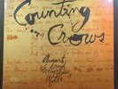 Counting Crows - August And Everything After Vinyl 2LP Record In Hand Ships Fast