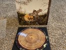 This Machine by The Dandy Warhols (Vinyl, Apr-2012, The End)