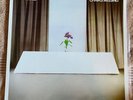 WIRE - CHAIRS MISSING - HARVEST RECS - ENGLISH IMPORT - 1978