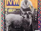 Paul & Linda McCartney Ram Sealed Deluxe 2 Vinyl LP Uncle Albert Admiral Halsey