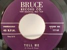 The MASTER-TONES 1954 DOO WOP 45 Tell Me / What'll You Do BRUCE 2nd press VG++