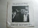 BUZZCOCKS: 