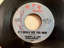 Northern Soul 45 / Sunny & The Sunliners 