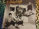 fishbone b6c 40032