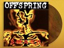 The Offspring - Smash - Lava Colored Vinyl LP x/500 Record In Hand Ships Fast