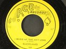 ELMORE JAMES: i believe my time ain't long / i wish i was a catfish ACE 7