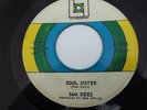 45 SAM DEES Lo Lo Records 2306 SOUL SISTER/Easier To Say Than Do DEEP SOUL/FUNK