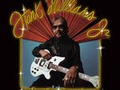 Hank Williams Jr. Rich White Honky Blues Gold Vinyl LP