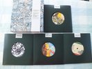 The Stone Roses 7