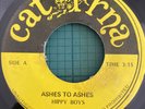 HIPPY BOYS Ashes To Ashes Dust CATURNA LB820 JA 1975 Leroy Brown  7” Single EX
