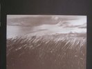 And Also The Trees Et Aussi Les Arbres French Lp Rare