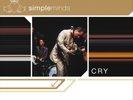 Simple Minds Cry (Vinyl) 12