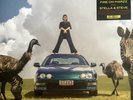 BENEE - FIRE ON MARZZ / STELLA & STEVE [LIMITED EDITION] (GREEN VINYL LP)