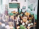 oasis album vinyl The master plan