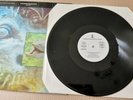 ***PROMO***FRANKIE GOES TO HOLLYWOOD - WATCHING THE WILDLIFE 12