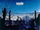 Suede - The Blue Hour - Vinyl Record.. - P7351A