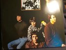 The Electric Prunes I HAD TOO MUCH TO DREAM LAST NIGHT  VINYL=M COVER NM