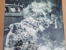 Rage Against The Machine von Rage Against The Machine  (Schallplatte, 2015)