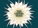 LOYAL SEAS - STRANGE MORNINGS IN THE GARDEN (PINK ROSE) (COLOURED) NEW VINYL