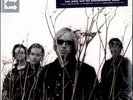 Tom Petty And The He - Echo - Vinyl Record.. - P7814A