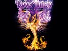 Deep Purple Phoenix Rising  (Vinyl)  12