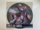 Coheed And Cambria Afterman Descension Vinyl Picture Disc - Never Played