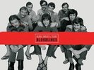 BLOOD, SWEAT & TEARS - BLOODLINES limited 45 RPM