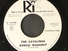 CATALINAS: banzai washout RIC 7