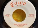 JAMES   What Is Happening To My Life / Moonset   Cristin private loner folk 45