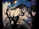 Vinyl - Bauhaus - Burning From The Inside (LP, Album, Ltd, RE, RM, Lig) New