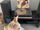Tyler The Creator - IGOR - Special Edition Vinyl - New w/ Poster & Sticker