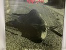 Pearl Jam Who killed Rudolph? Sonic Reducer/Ramblings Fan Club Christmas Single