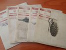Set 5 Vinili 45 giri. Edizione Limitata My Chemical Romance Conventional Weapon