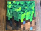 C418 Minecraft Volume Alpha OST LP Used  2015 Ghostly Int'l GREEN VINYL REISSUE