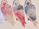 Flyying Colours - Mindfullness 2016 Australian vinyl LP