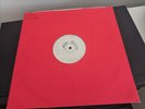 A.S. KANG - FLASHBACK LP Vinyl BHANGRA UK 1994 RARE WHITE LABEL CLASSIC