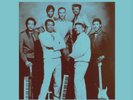 Chocolate Buttermilk Band No Money - No Honey (UK IMPORT) VINYL LP NEW