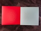 RWBY Ruby + Weiss Vinyl Record Singles 7