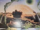 DRUID 1975 TOWARD THE SUN VINYL  RARE LP,