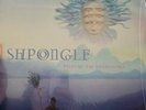 Shpongle - Tales Of The Inexpressible Black Vinyl