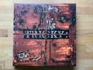 Tricky ‎– Maxinquaye Limited Edition Vinyl