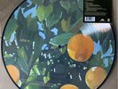 LANA DEL REY - Violet Bent Backwards Over The Grass - LTD ED PICTURE DISC *New*