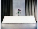 WIRE - CHAIRS MISSING - NEW SEALED VINYL RECORD LP
