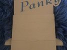 Madonna Hanky Panky 7” Promotional Display Shelf RARE