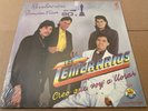 Los Temerarios - Creo Que Voy A Llorar - LP - SEALED