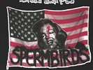Spermbirds Common Thread (Ltd. Colored Vinyl NEW